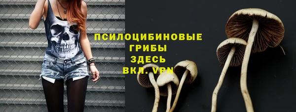 твердый Белокуриха