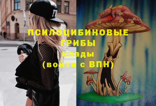 хмурый Белоозёрский