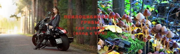 хмурый Белоозёрский