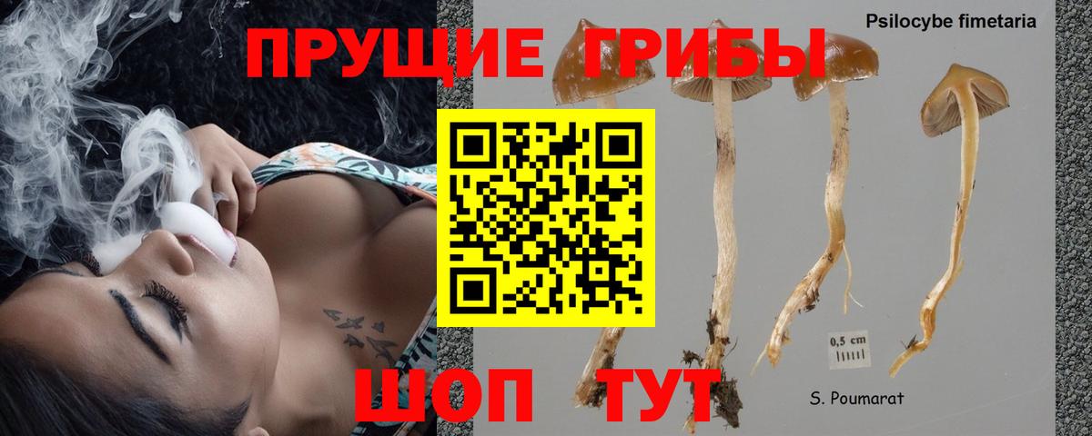 Псилоцибиновые грибы GOLDEN TEACHER  Вход с VPN  Минеральные Воды 