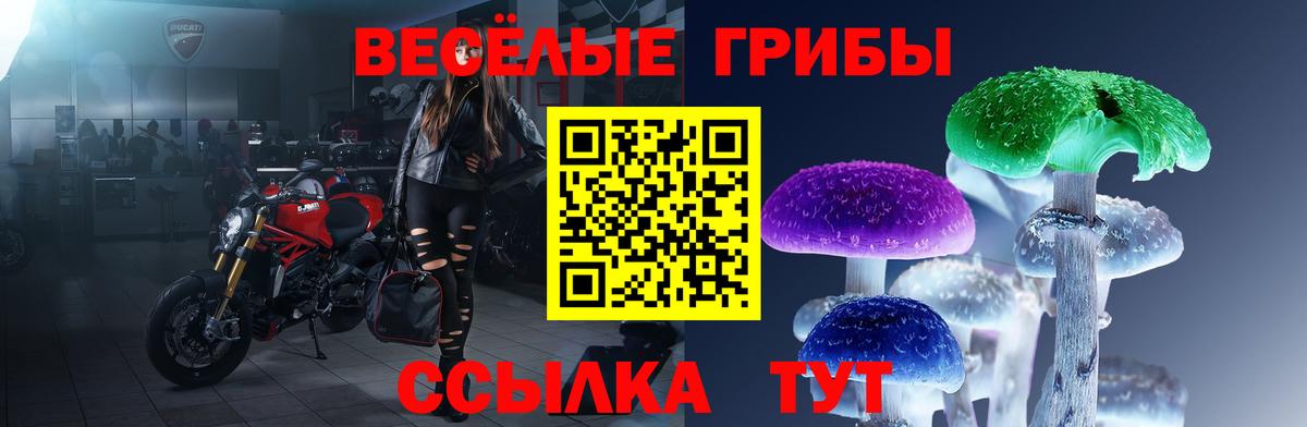 Галлюциногенные грибы ЛСД Минеральные Воды